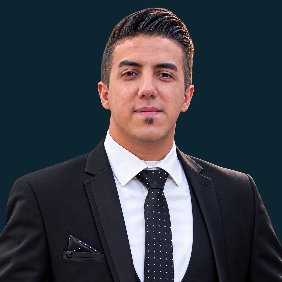 پرترهٔ علیرضا بابایی